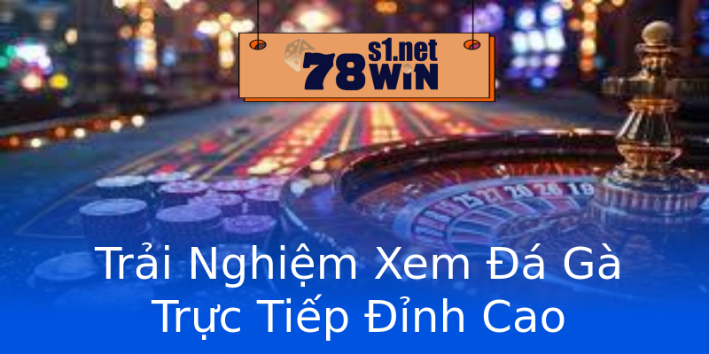 Trải Nghiệm Xem Đá Gà Trực Tiếp Đỉnh Cao Trải Nghiệm Xem Đá Gà Trực Tiếp Đỉnh Cao